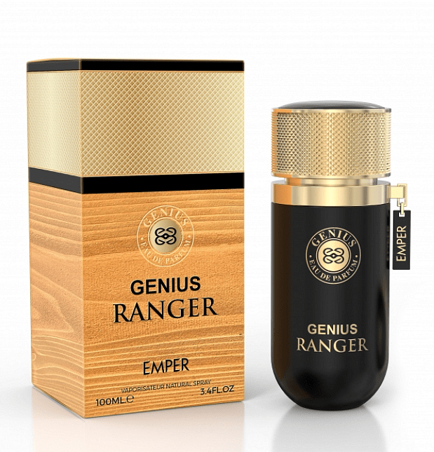 Ιδιοφυής Ρέιντζερ