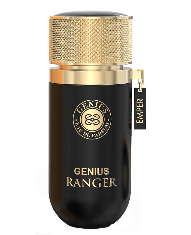 Ιδιοφυής Ρέιντζερ