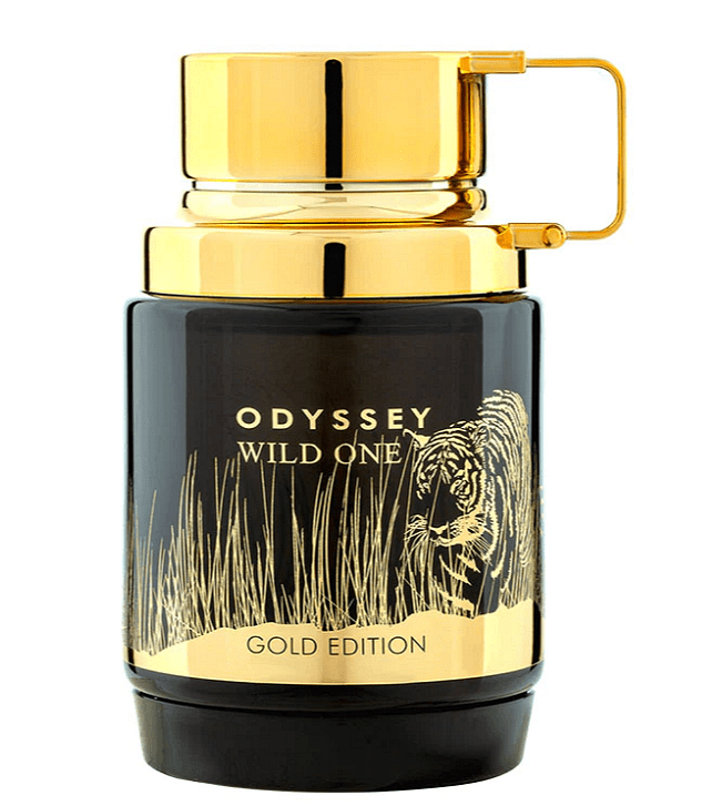 Οδύσσεια Άγρια Ένα